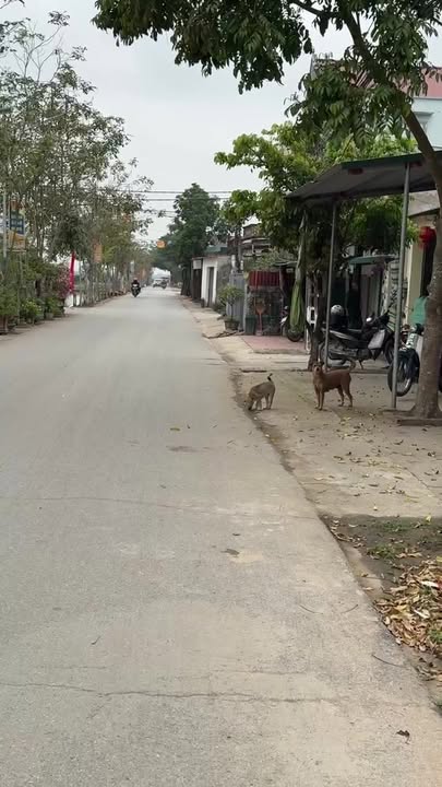 Đất nền Yên Mỹ 108m² - Đường to ô tô, tiềm năng tăng giá!