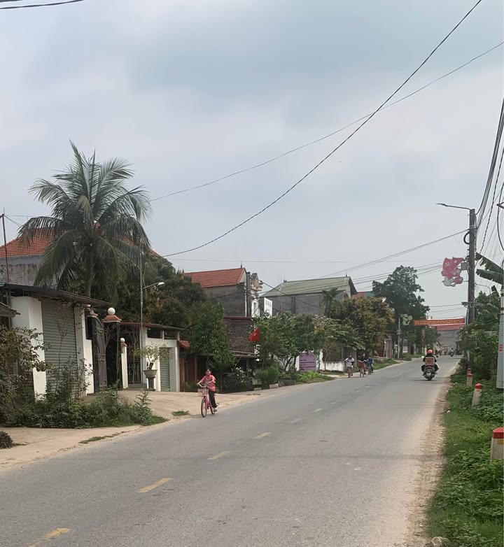 Đất nền Bàn Giản 130m² chỉ 2.5 tỷ - Vị trí đắc địa kinh doanh!