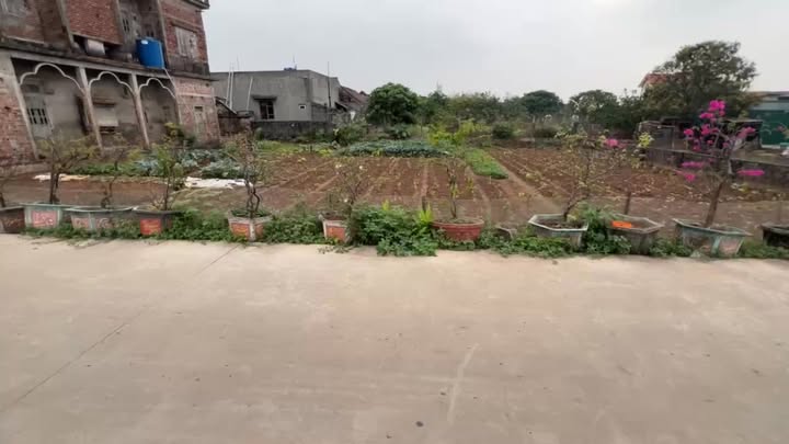 Đất nền Hoành Sơn, Giao Thủy 109.5m² - Sổ đỏ thổ cư, giá 1 tỷ x