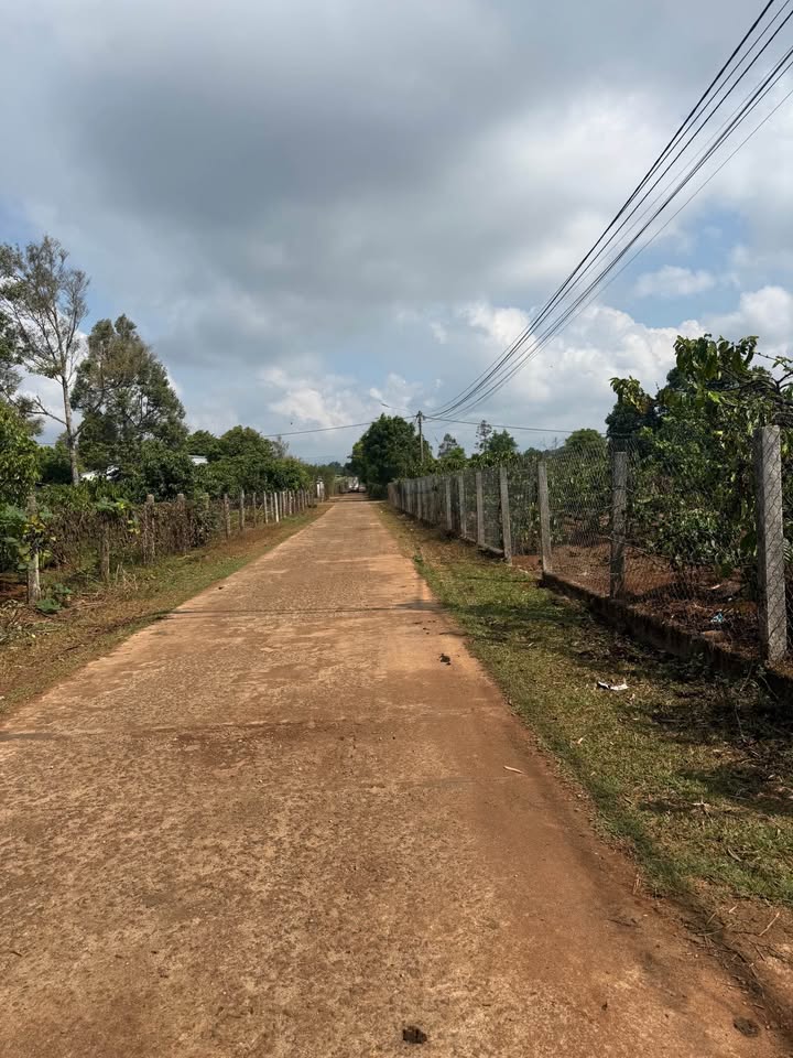 Đất nền Làng Phung Biển Hồ 140m² - Sổ đỏ chính chủ