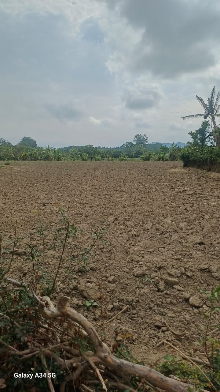 Đất nền Hòa Lễ Krông Bông 36.000m² - Đường to ô tô, tiềm năng sinh lời!