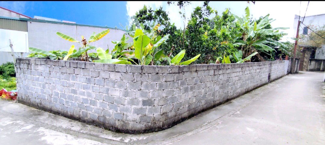 Đất nền Phường 1 Tân Bình 100m² - Sổ đỏ chính chủ, vị trí vàng!