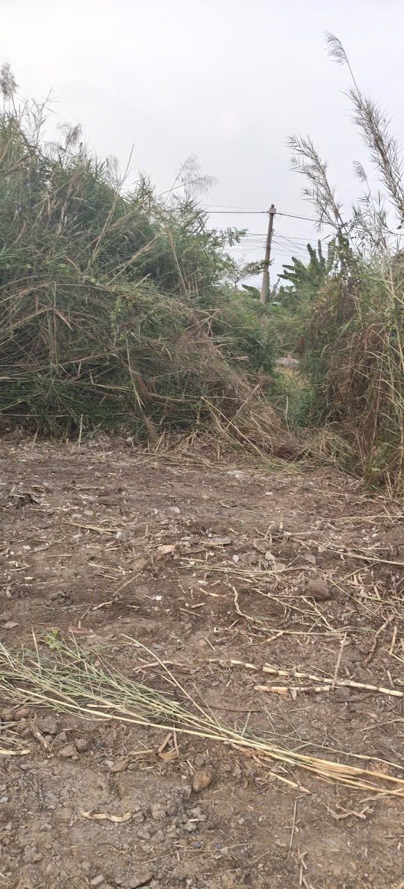 Đất nền Ấp Mới 2 Đức Hòa 90m² - Hai mặt tiền thoáng, giá 990 triệu