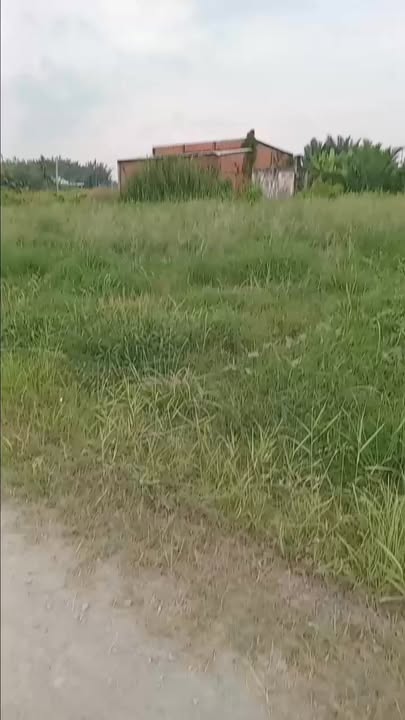 Đất nền Cần Đước Long An 99m² giá 900 triệu - Sổ đỏ chính chủ!