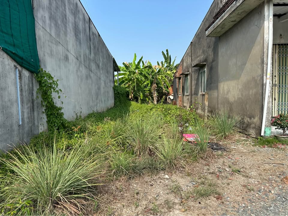 Đất Thổ Cư 144m² Phường Tân Khánh, TP. Tân An - Sổ Hồng Riêng, Giá 820 Triệu