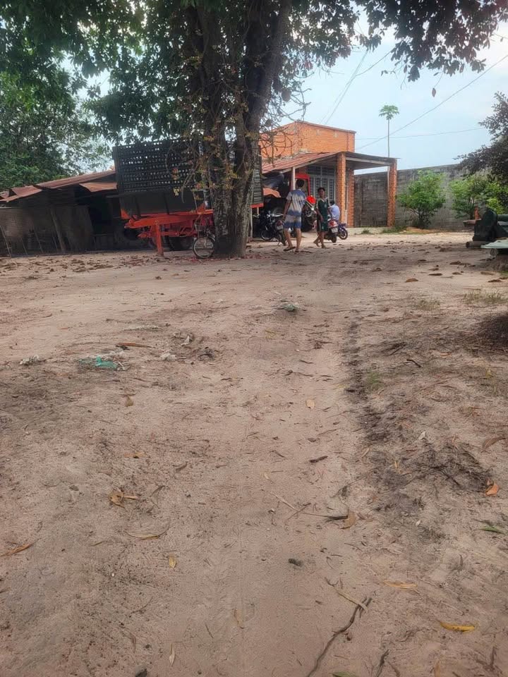 Bán Gấp Đất Vườn 3360m² Tỉnh Long An - Sổ Hồng Sẵn Sàng