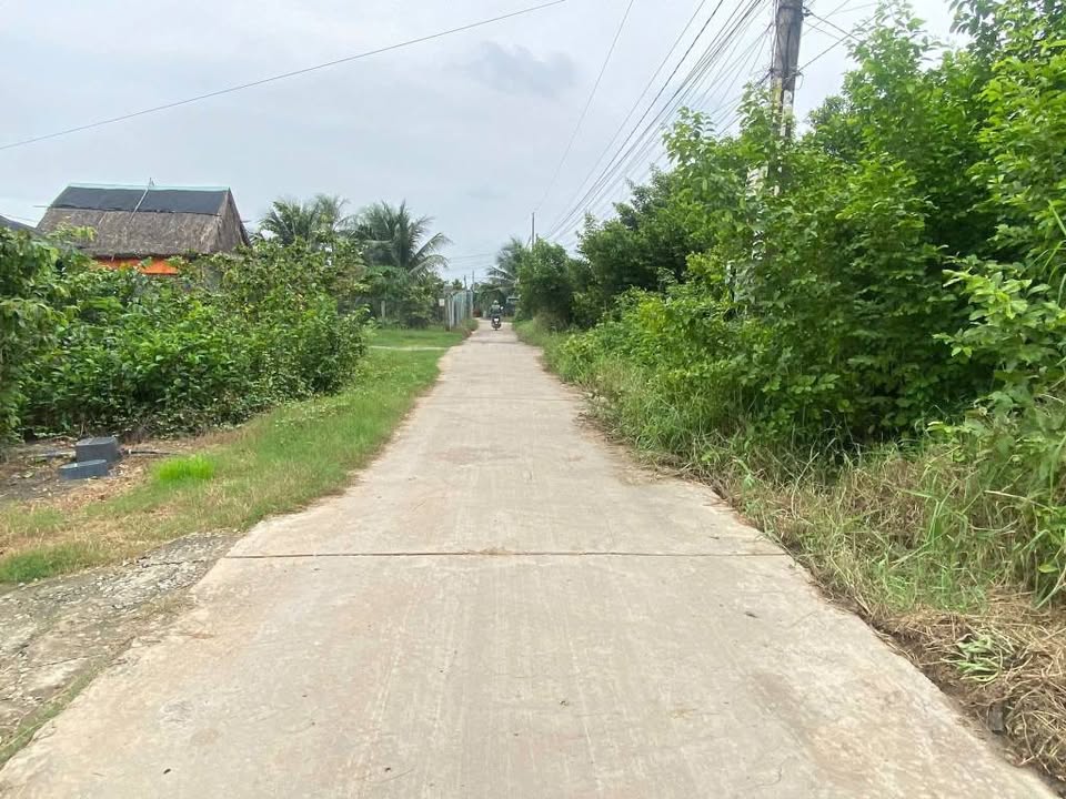 Đất nền Tân Phước Tây, Tân Trụ 120m² - Sổ hồng chính chủ giá 600 triệu