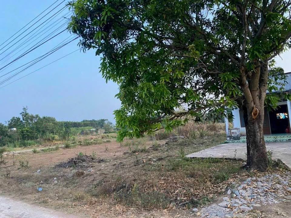 Đất nền có nhà Xã Xuân Trường 648m² 2 tỷ - Sổ đỏ chính chủ