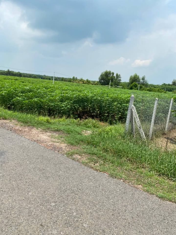 Đất nền Phước Ninh, Dương Minh Châu 1860m² - Sổ hồng chính chủ!