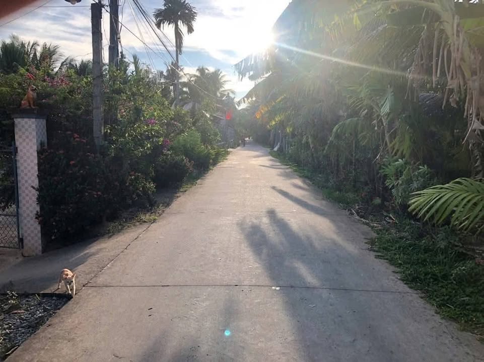 Nhà mặt tiền Xã Lương Phú 900m² giá 1.2 tỷ - Mặt tiền kinh doanh