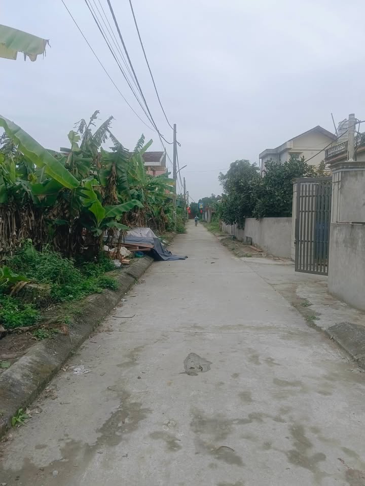 Đất nền Yên Tiến, Ý Yên 181m² - Sổ đỏ chính chủ, ô tô tận nơi