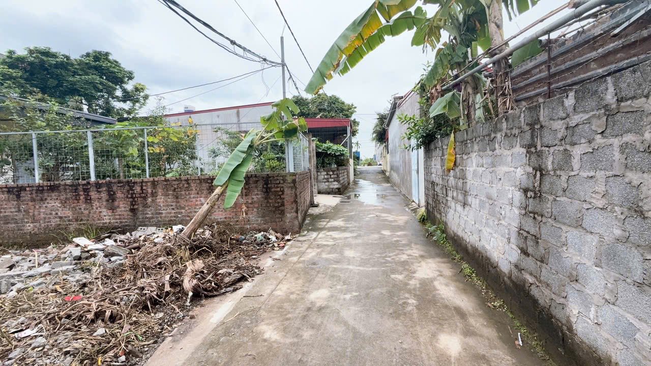 Đất nền An Trường, Hải Phòng 85m² - Sát KCN Tràng Duệ, giá chỉ 1.3 tỷ