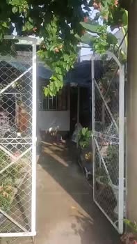 Nhà Gác Lửng 70m² Tại Tân Xuân, Đồng Xoài - Sân Ô Tô Rộng, Giá 1.05 Tỷ