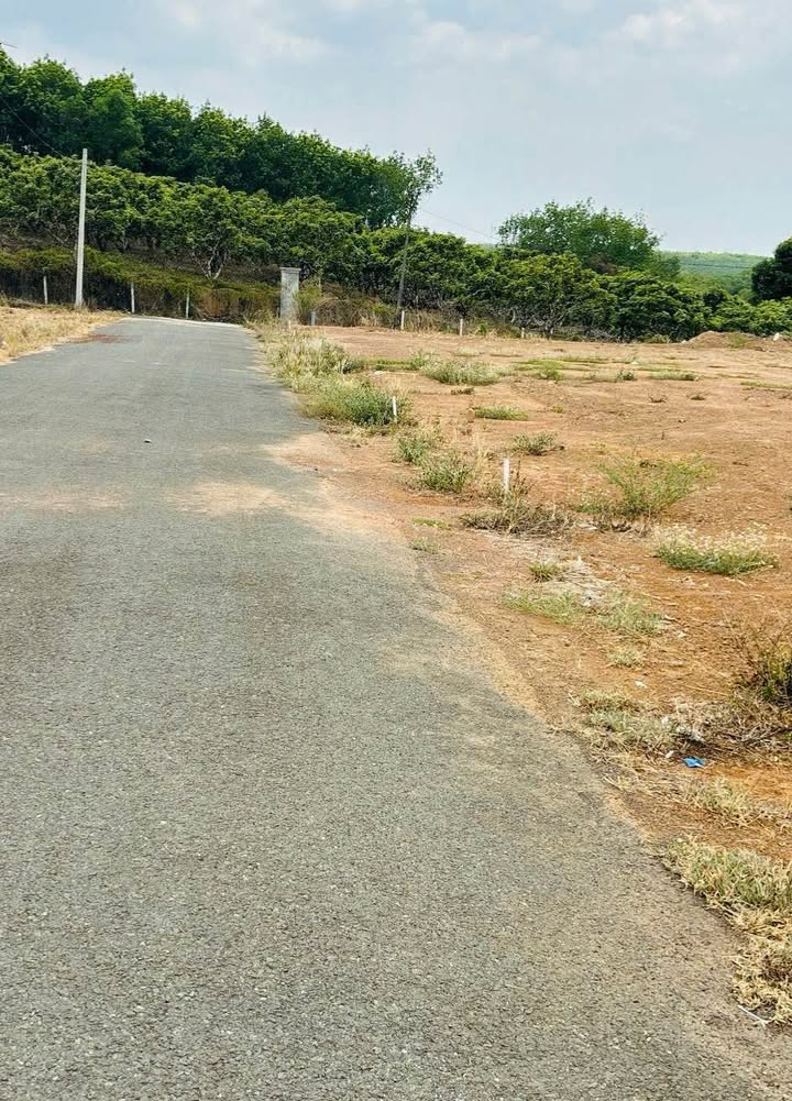 Đất nền 174m² Phường Tiến Thành, Đồng Xoài - Giá chỉ từ 6xx triệu