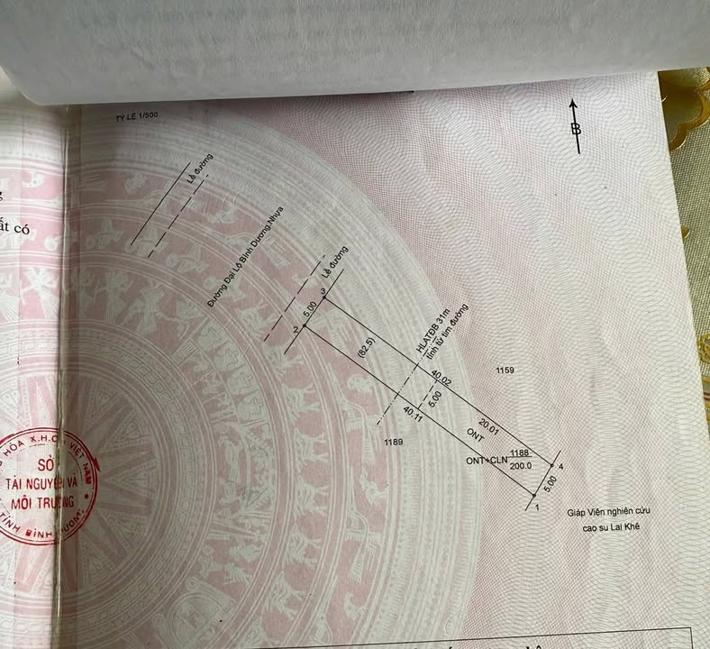 Đất nền mặt tiền QL 13 Bàu Bàng 200m² - Vừa ở vừa kinh doanh