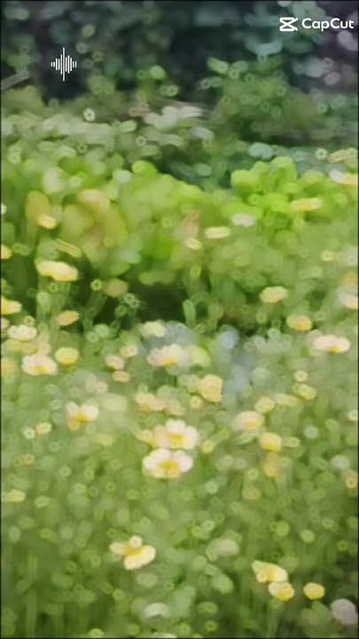 Nhà Phố Hóc Môn 115m² - Mặt tiền kinh doanh sầm uất!