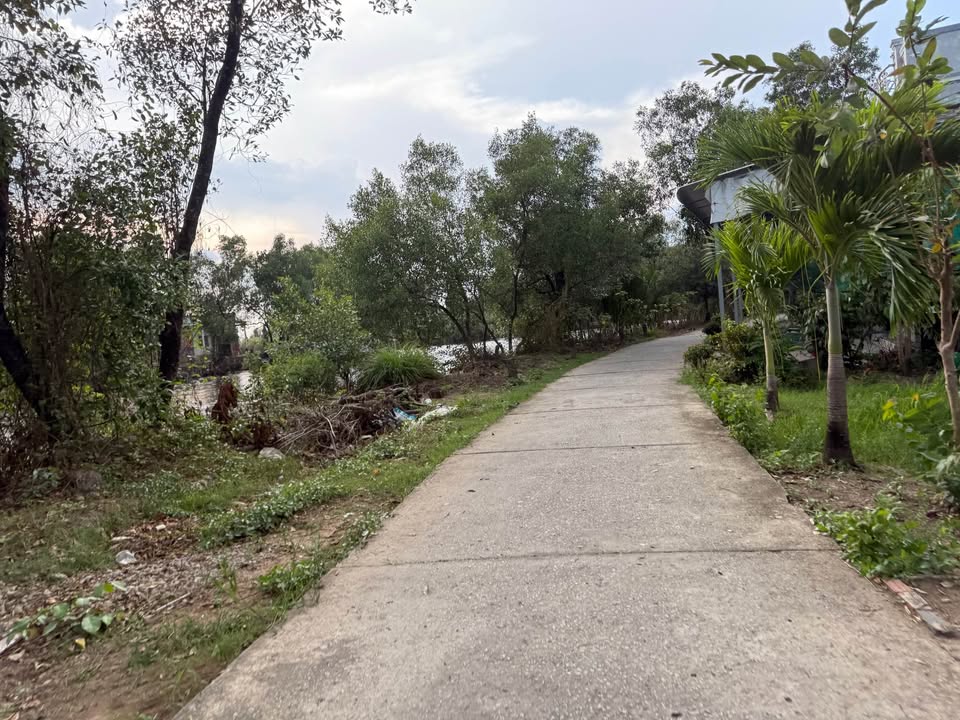 Đất nền Cà Mau 188m² - Sổ hồng chính chủ, Ô tô vào tận nơi!