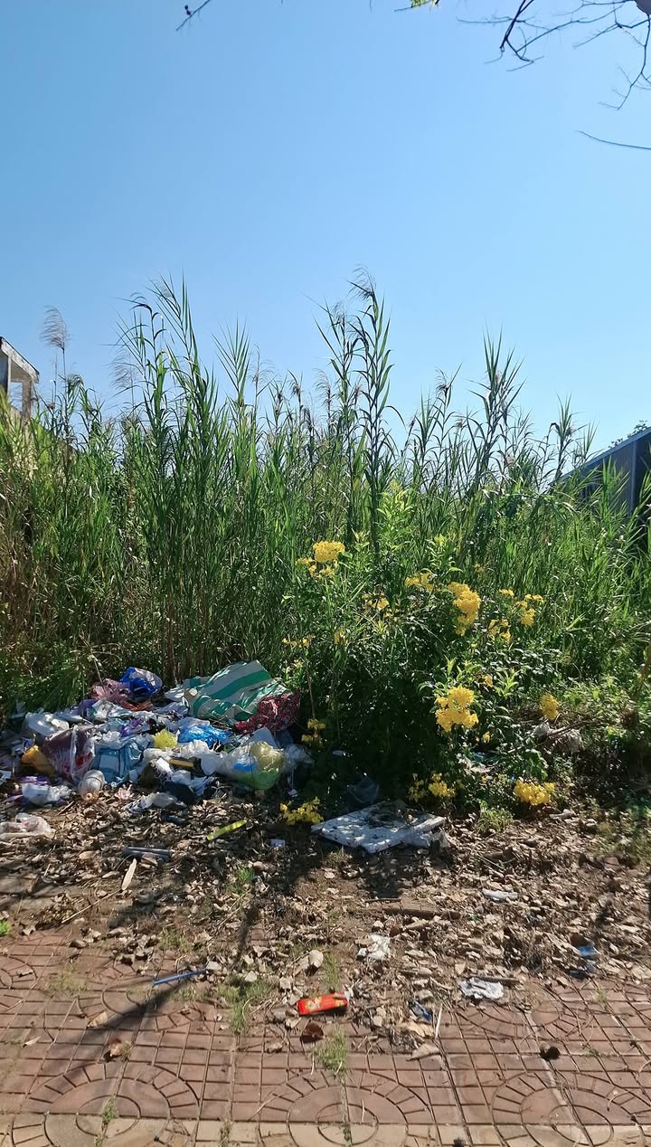 Đất nền Bạc Liêu 279.7m² giá 2.59 tỷ - Sổ đỏ chính chủ!