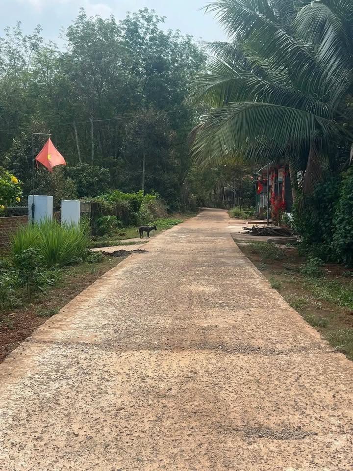 Đất Nền Bình Long 1800m² - Tiềm năng tăng giá vượt trội!