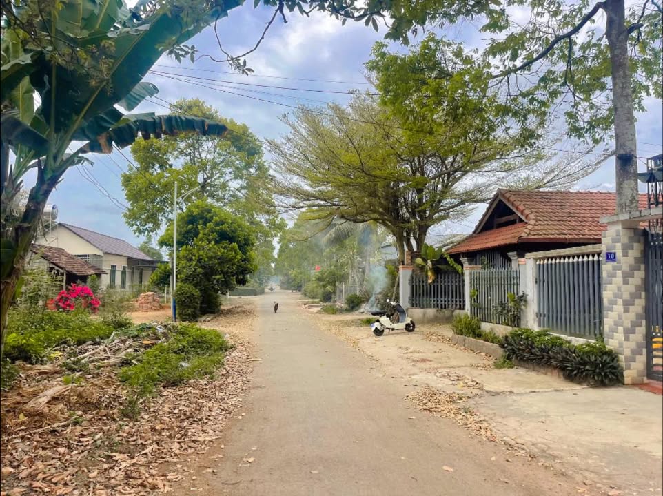 Nhà phố Ea H'Leo 270m² giá 1 tỷ - Mặt tiền kinh doanh đắc địa!