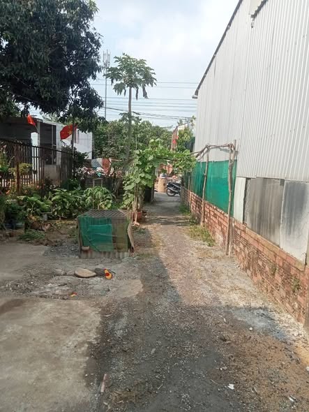 Nhà riêng Trảng Bom - 1.5 triệu/tháng, Sẵn sàng ở ngay!