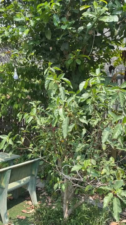 Đất nền Xã Đồi 61 Trảng Bom 6.5 tỷ - Tiềm năng tăng giá vượt trội!