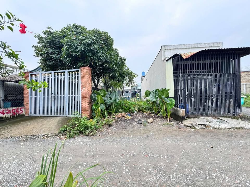 Đất nền Đường Cây Dương 115m² Đức Hòa Hạ - Tiềm năng tăng giá!