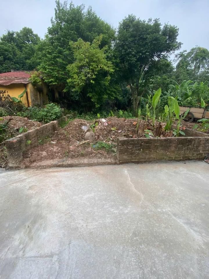 Bán đất Phố Tây Ngọc Thụy, Long Biên 70m² - Ô tô vào nhà, Sổ đỏ sẵn sàng