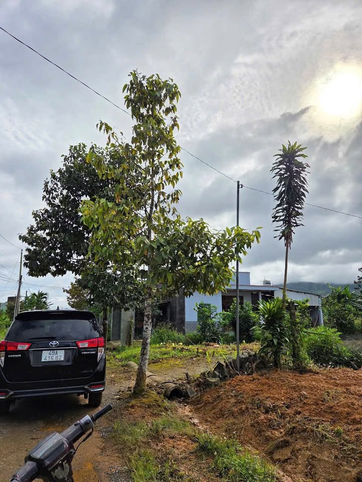 Đất nền Bảo Lộc 175m² - Pháp lý rõ ràng, giá 900 triệu