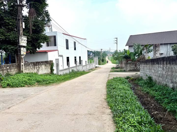 Đất nền 100m² Ninh Hà, Tam Dương - Giá 5xx triệu, tiềm năng lớn