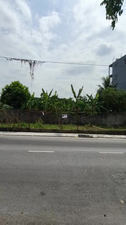 Đất Nền Hóc Môn 88m² giá 3.59 tỷ - Xây dựng tự do!