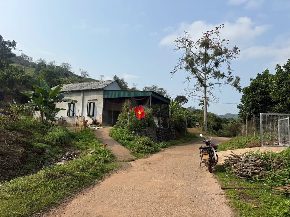 Đất nền Đông Lai, Tân Lạc 458m² - Sổ đỏ chính chủ!