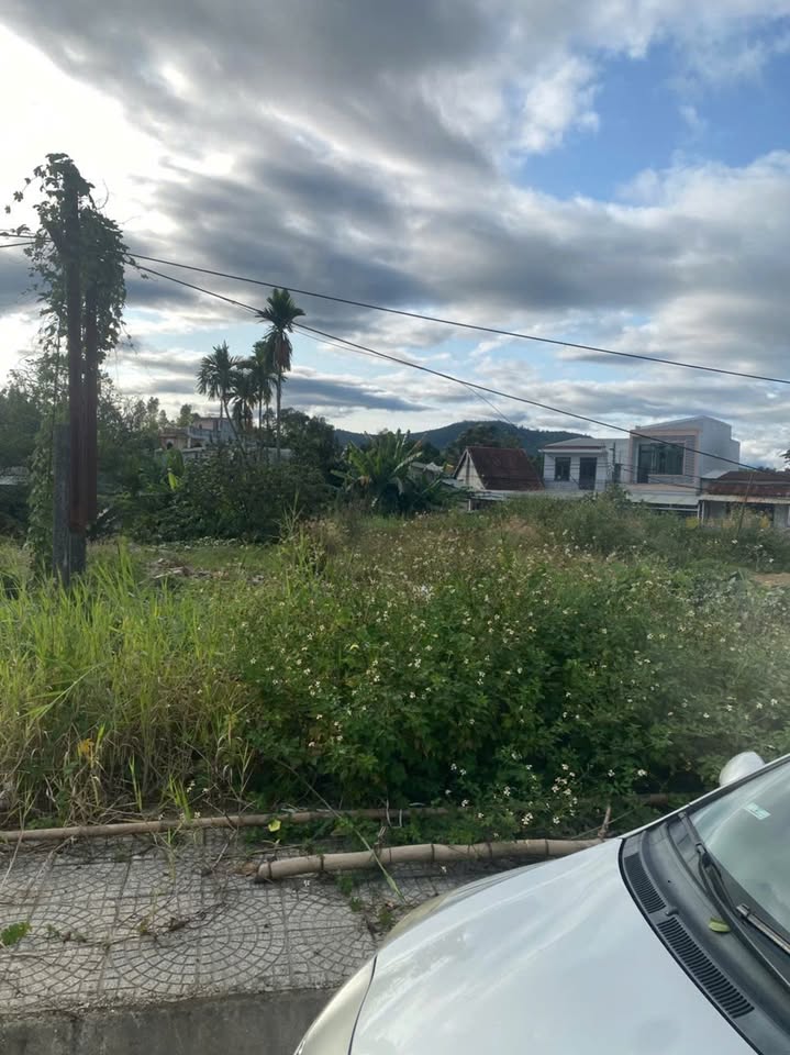 Đất Nền Mặt Tiền Trường Chinh, Cẩm Lệ - 100m², Giá Đầu Tư 3 Tỷ