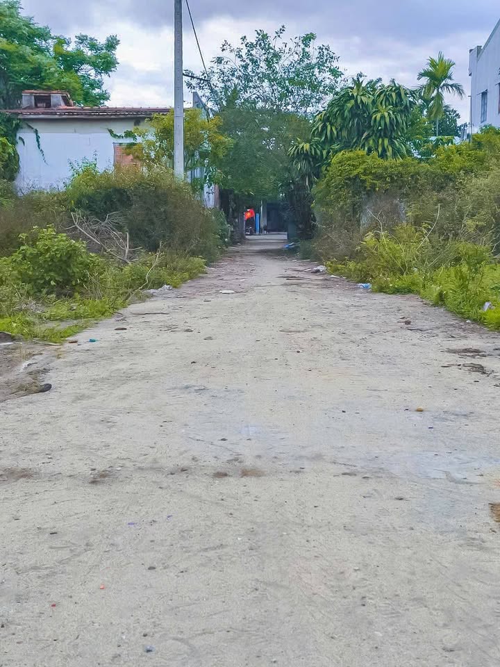 Đất Sổ Đỏ 150m² P. Phú Thượng, Tây Hồ - Giá 2.5 Tỷ Ô Tô Vào Nhà