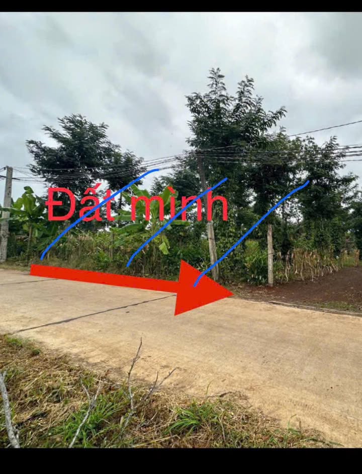 Đất nền Thôn 7 Ea Hu 250m² giá 185 triệu - Sổ đỏ chính chủ!