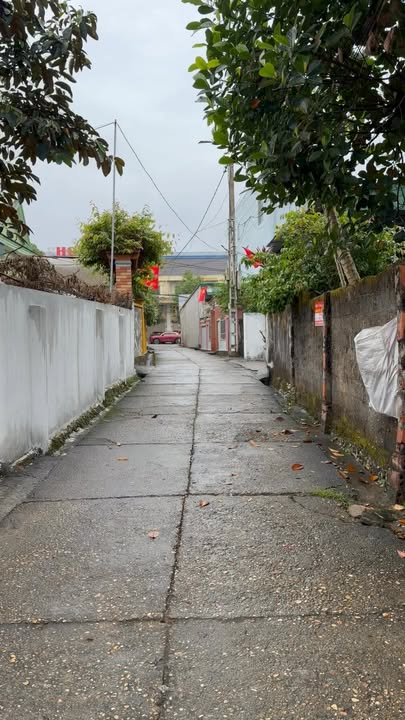 Đất nền Thị trấn Tân Kỳ 126m² - Sổ đỏ chính chủ, sang tên ngay!