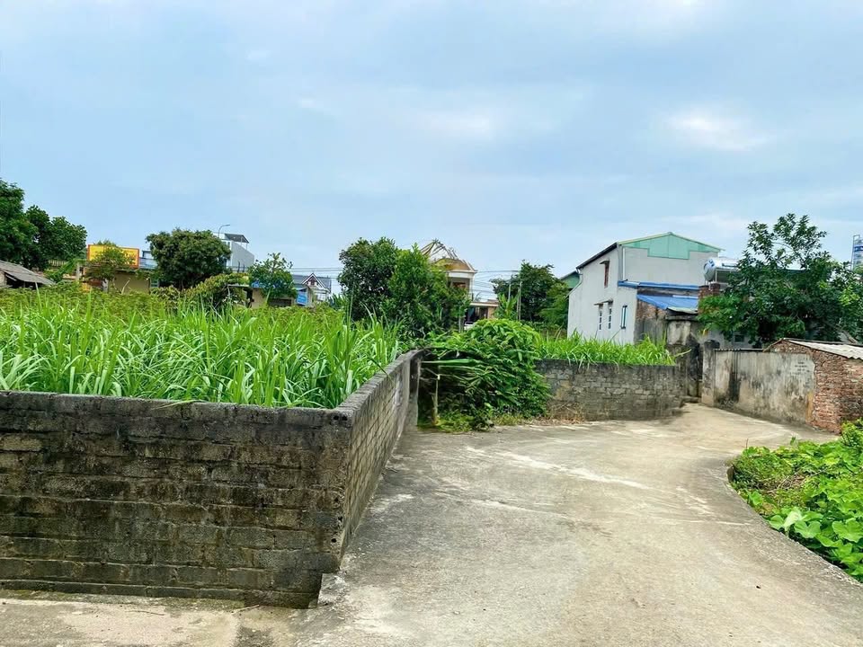 Đất nền Ba Trại, Ba Vì 520m² - Sổ hồng chính chủ, tiềm năng sinh lời!