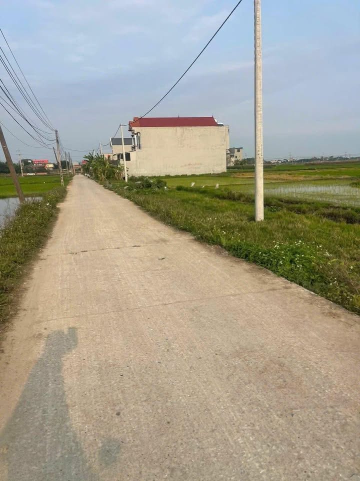 Đất nền Thôn Mai Hạ Việt Yên 120m² - Tiềm năng tăng giá vượt trội!