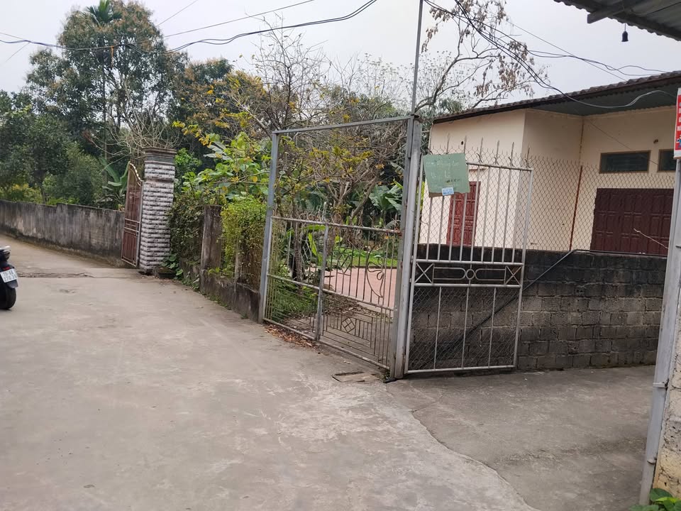 Bán Đất Thụy Vân, Việt Trì: 3 Lô Sổ Đỏ, Gần Chợ, Trường, KCN - Giá Từ 1.x Tỷ