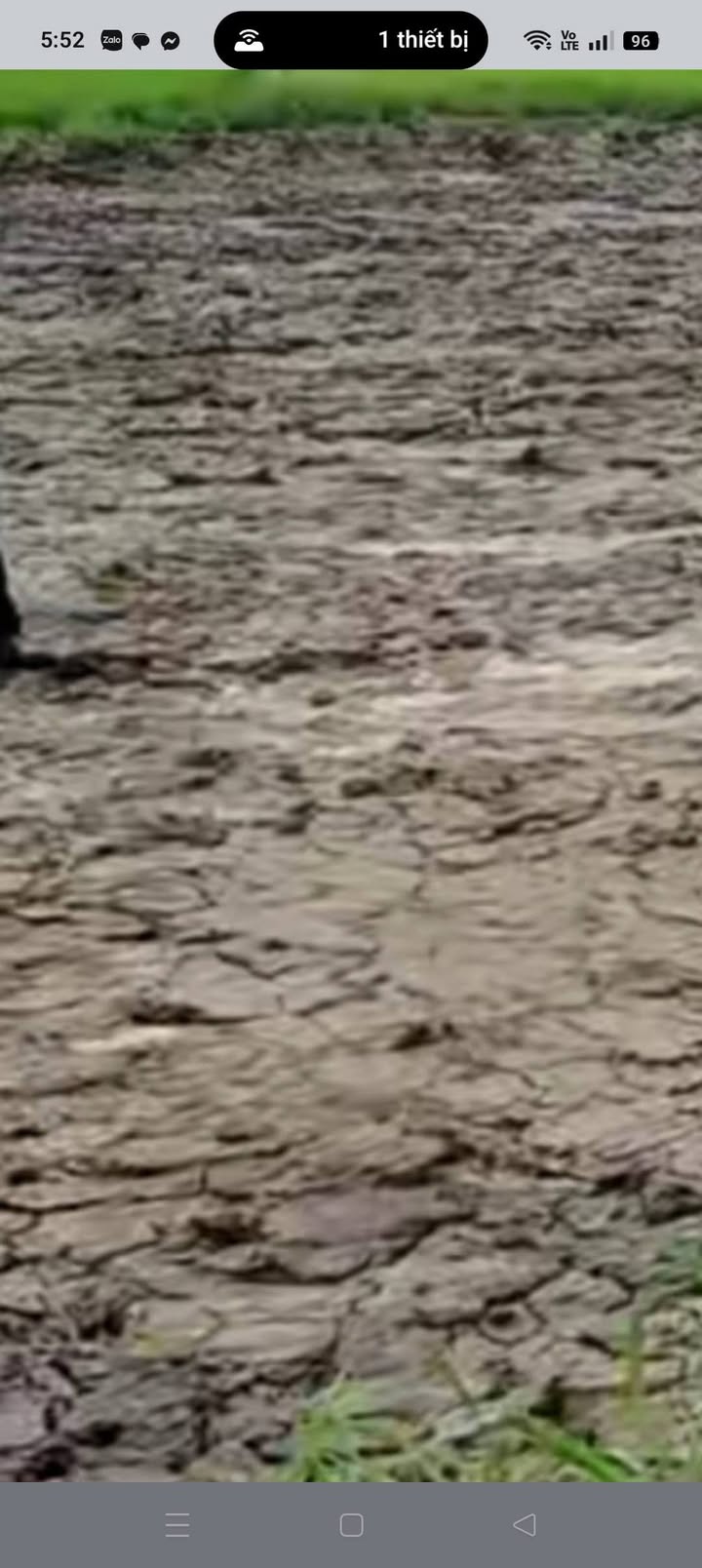 Đất nền Ngã Năm, Sóc Trăng 2814m² - Tiềm năng tăng giá vượt trội!