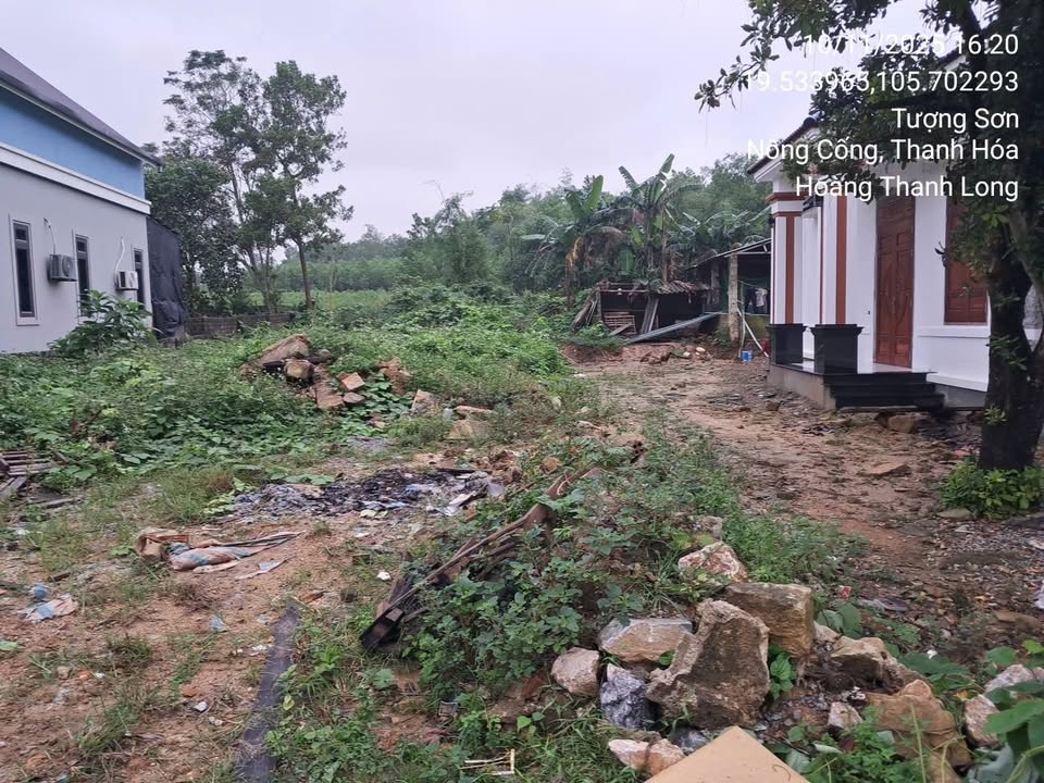 Bán Đất Tượng Sơn, Nông Cống 240m² - Sổ Đỏ Full Thổ Cư, Hướng Tây Nam