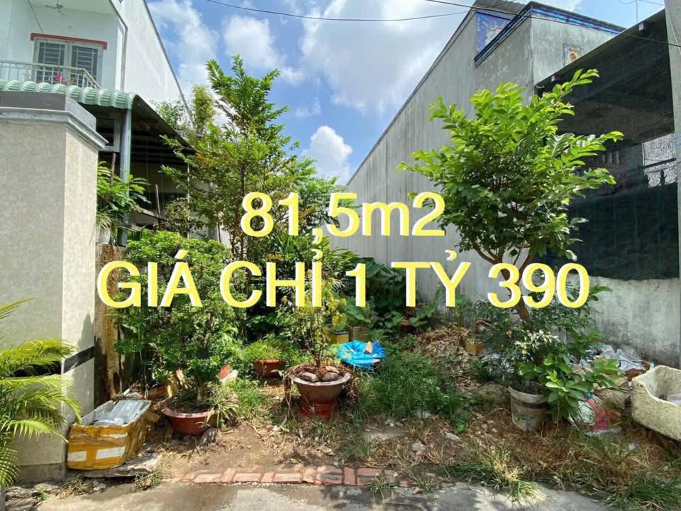 Đất nền Hẻm 6 Phạm Hùng, Cái Răng 81.5m² chỉ 1.39 tỷ - Sổ đỏ chính chủ