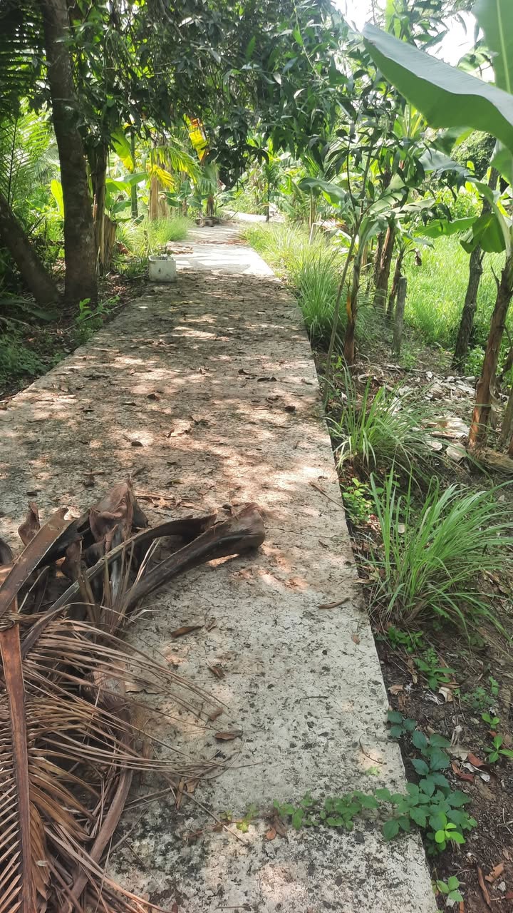 Đất nền Giai Xuân, Phong Điền 245m² - Giá đầu tư tốt!