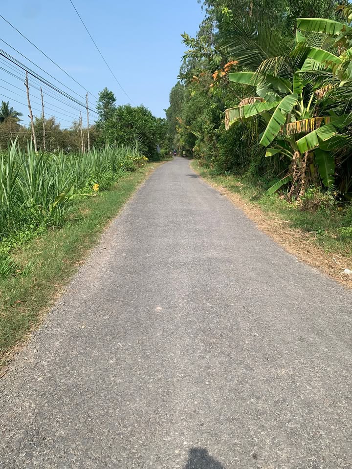 Bán Đất Vườn Mỹ Phước Vĩnh Long 1039m² - Giá Đầu Tư 800 Triệu