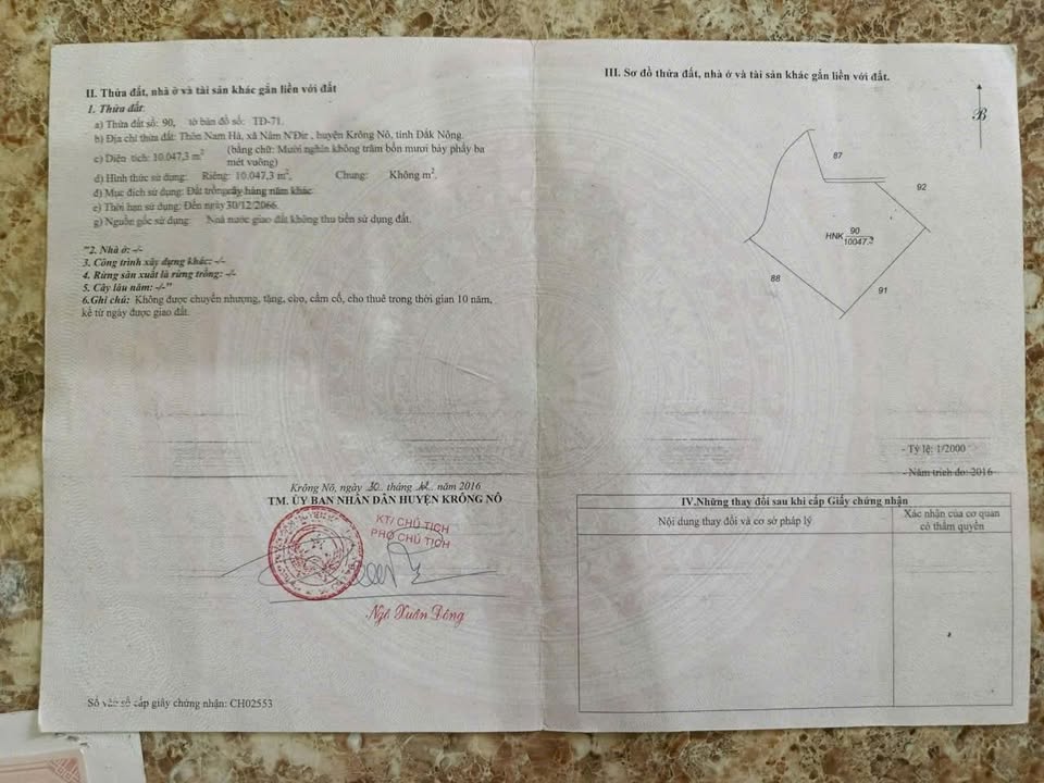 Đất Rẫy Đắk Nông 20.000m² - 1.9 Tỷ, Tiềm Năng Sinh Lời Cao