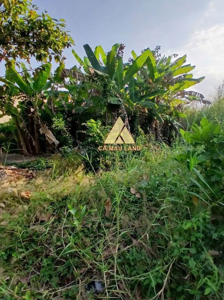 Đất nền Tân Xuyên Cà Mau 122m² giá 8xx triệu - Sổ đỏ chính chủ!