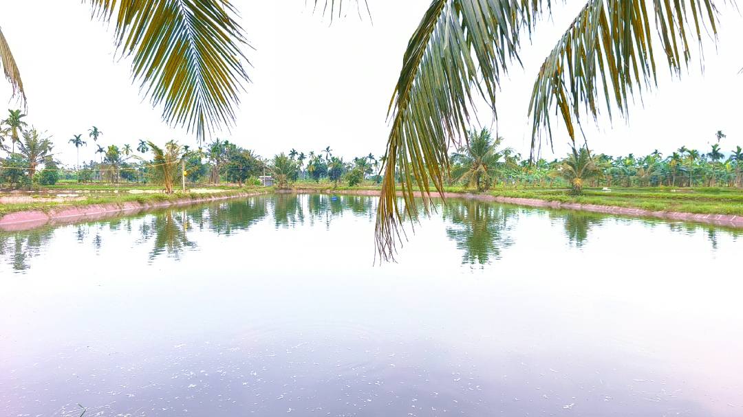 Bán Đất Vườn 2700m² Kèm Ao Cá, Gần TT Thủy Nguyên - Giá 9xx Triệu