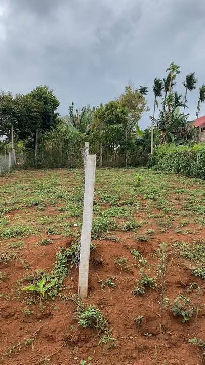 Đất Nền Buôn Hồ 100m² - Mặt Tiền Nơ Trang Long, Sổ Đỏ Chính Chủ