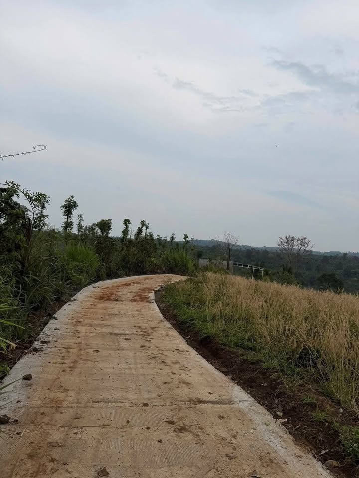 Đất nền Thuận An, Đạ Huoai 360m² - Sổ đỏ chính chủ!