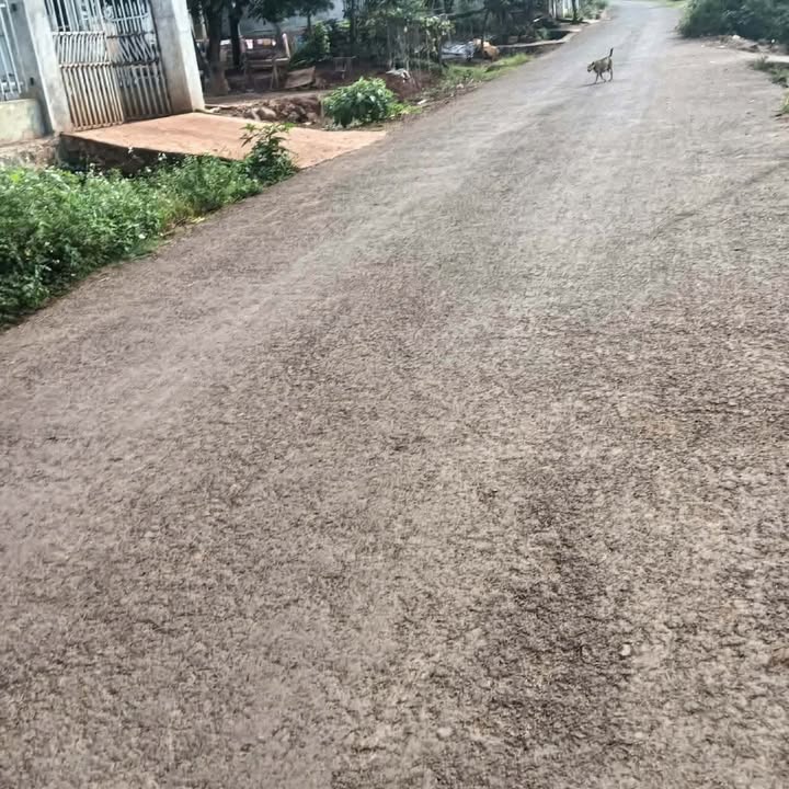 Đất nền Đắk R'ot 1100m² giá 800 triệu - Đất thổ cư 100%!